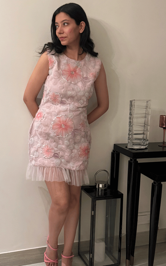 Rose floral embroidered party dress