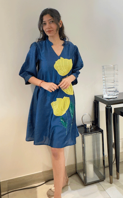Blue -Zara Silk embroidered dress